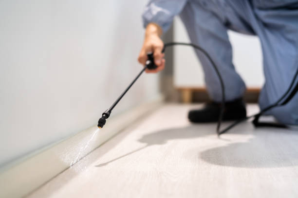 Bed Bug Pre-Treatment Preparation Assessment in Bayboro
