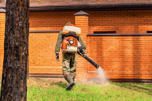 Bed Bug Clearance Verification and Documentation in Bayboro